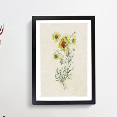 Illustration of Yellow Tickseed Flowers - Picture Frame Painting Print