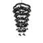 Cretella 72 - Light Chandelier