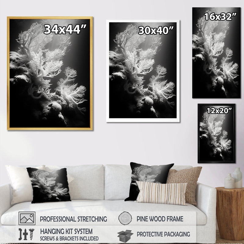 Anémone noire et blanche IV sur toile, Cadre flottant doré, H 44 po x l 34 po x P 1,5 po