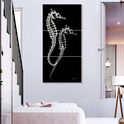 Sea Horse Xray