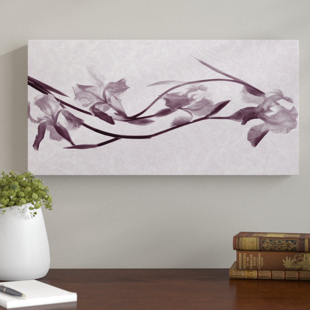 Ebern Designs 'Iris Rhapsody 2' - Wrapped Canvas Graphic Art Print ...