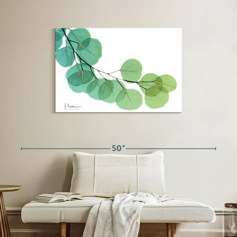 Eucalyptus doré Harnek, H 26 po x l 39 po