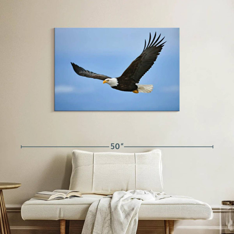 Brampt Gliding Bald Eagle, 26" H x 39" W