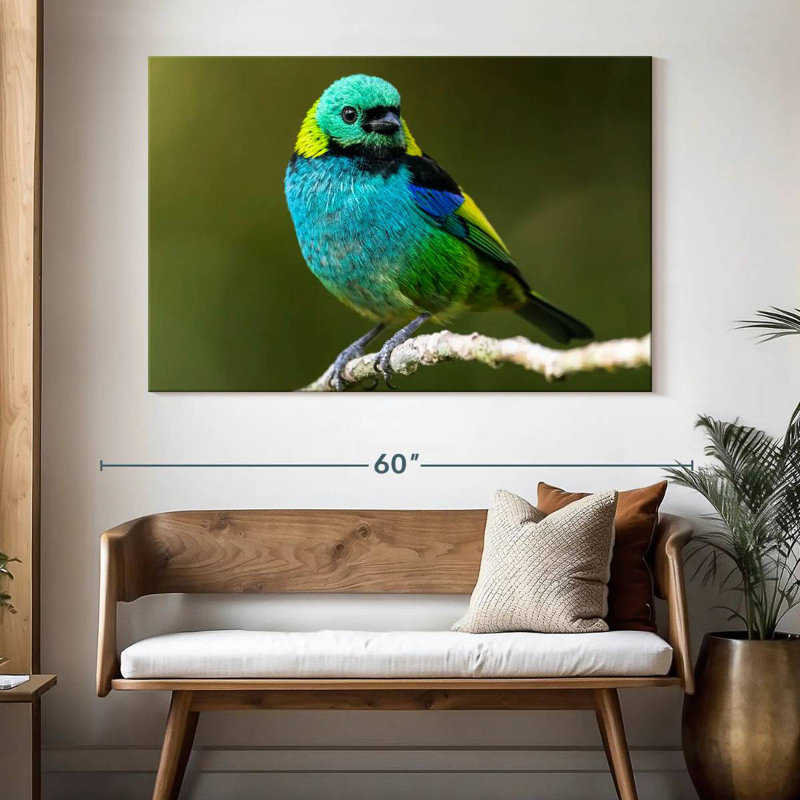 Brampt Green Headed Tanager, 34" H x 51" W