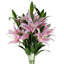 Plastic, Silk Artificial Arrangement-89222283