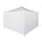 Caravan Canopy Straight Leg Instant Canopy and Sidewalls w/Set of 4 Weights