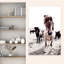 Islande, cheval, Rikka, art contemporain cheval