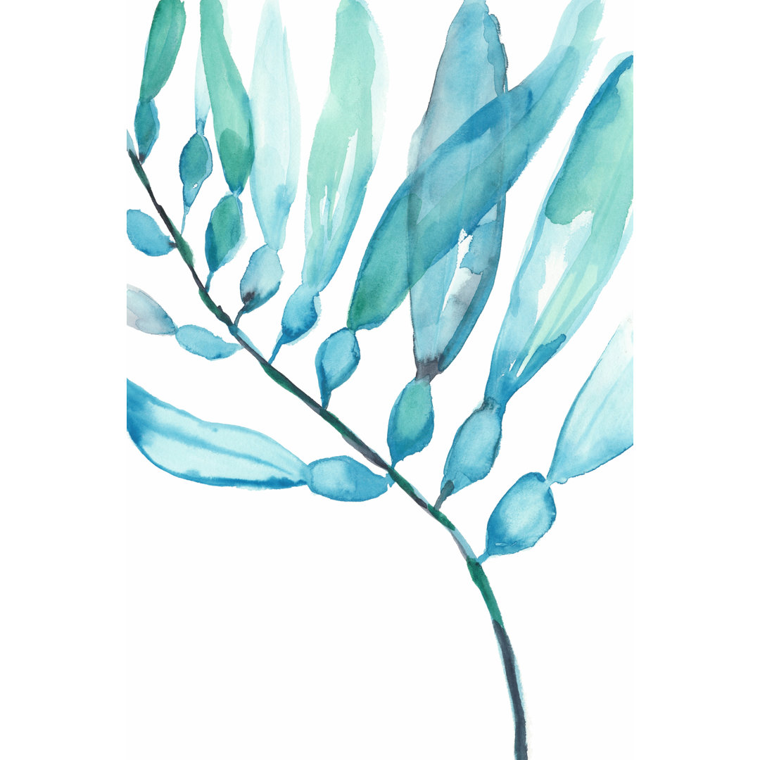 Leinwandbild Watercolour Kelp II von Jennifer Goldberger