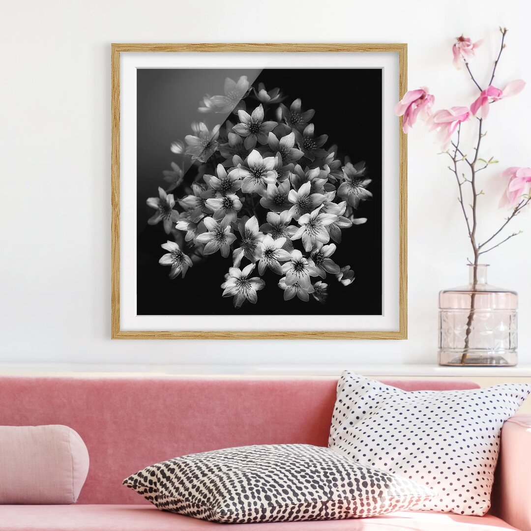 Gerahmter Fotodruck Dark Clematis Bouquet