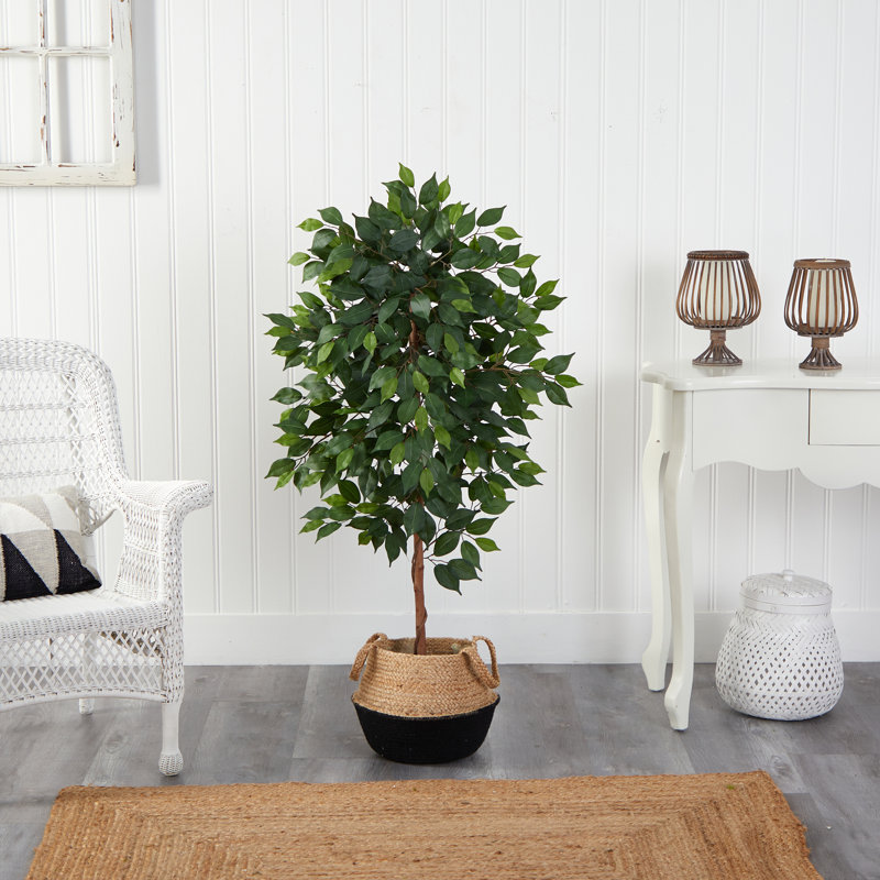 Ficus artificiel 48 po en pot, Mauve