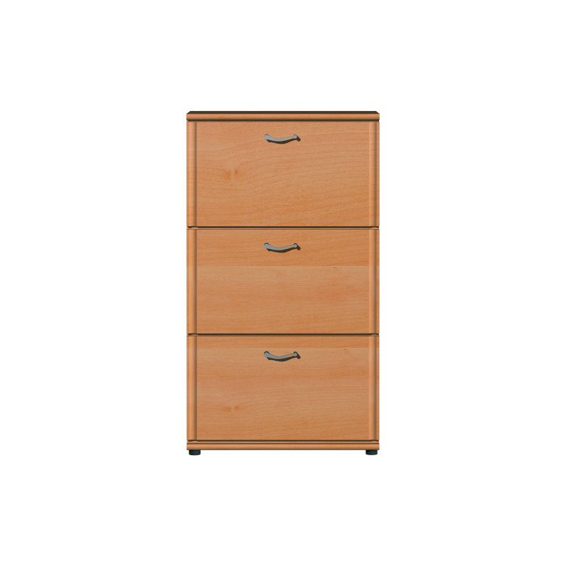 Shoe Storage Cabinet