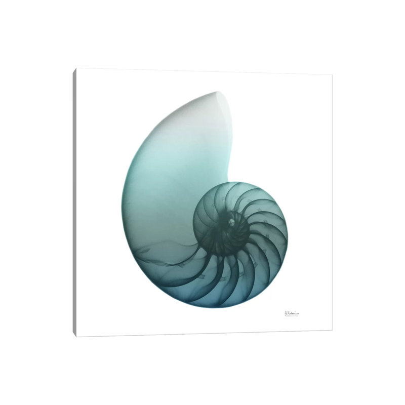 Water Snail IV by Albert Koetsier - Wrapped Canvas Print, 45.72 cm H x 45.72 cm W x 3.175 cm D