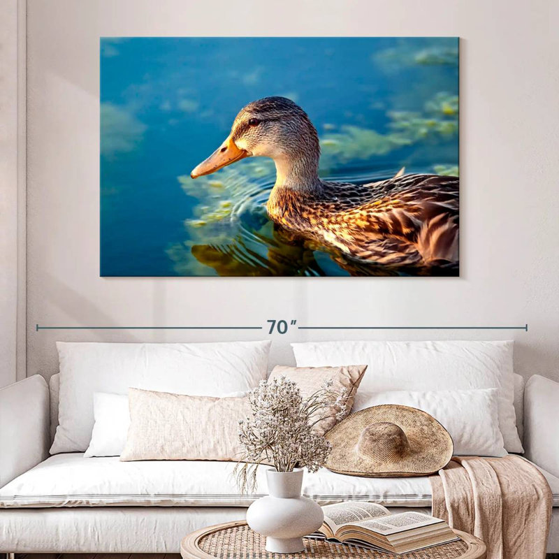 Canard colvert sur l'eau, H 34 po x l 51 po