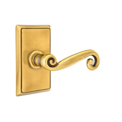 Double porte faux levier avec rosette