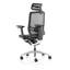 Ergo Click Mesh Executive Chair with Headrest