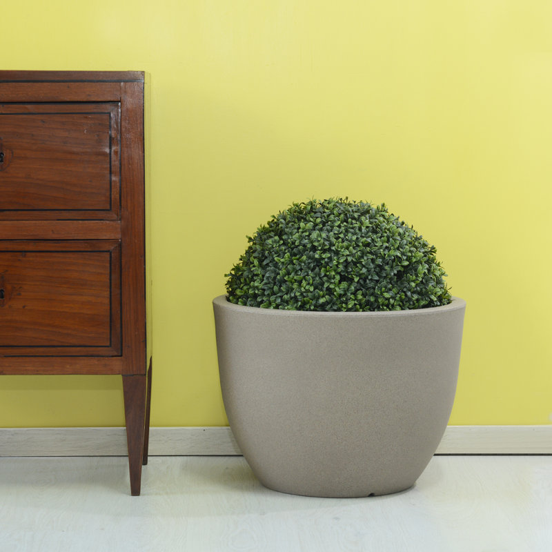 Griagal Pot Planter, Havana, 37cm H x 50cm W x 50cm D