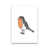 Unframed is unavailable