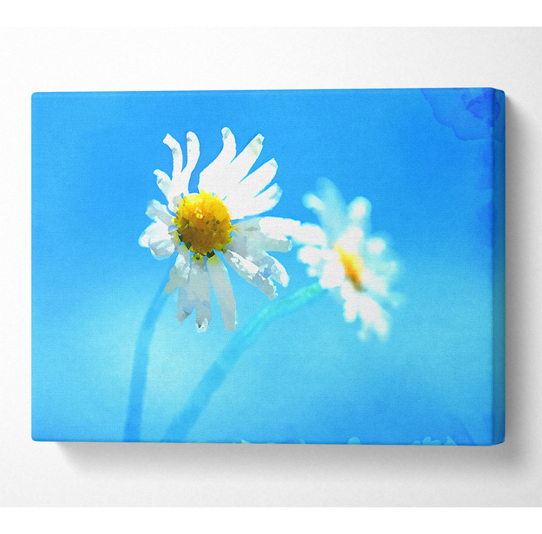 Duo Daisy Skies - Kunstdrucke auf Leinwand - Wrapped Canvas