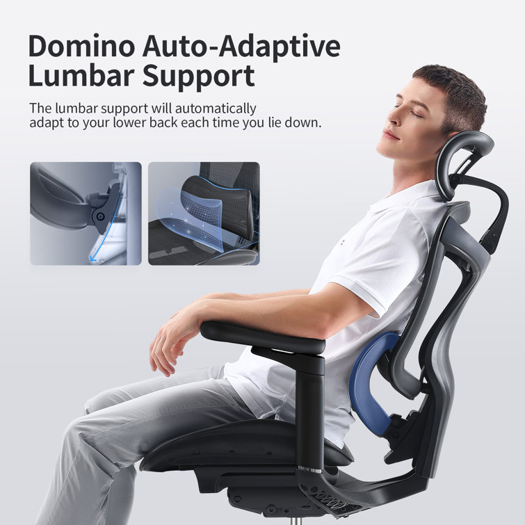 https://assets.wfcdn.com/im/36672987/resize-h755-w755%5Ecompr-r85/2479/247945012/Ergonomic+Task+Chair+with+Headrest%2C+Dynamic+Lumbar+Support+and+3D+Armrests+for+gaming.jpg