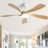 Damecia 52'' Ceiling Fan with LED Lights-297176346