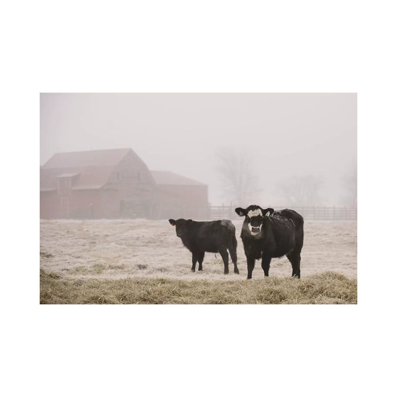 Farm Study III by Adam Mead - Wrapped Canvas Print, 20.32 cm H x 30.48 cm W
