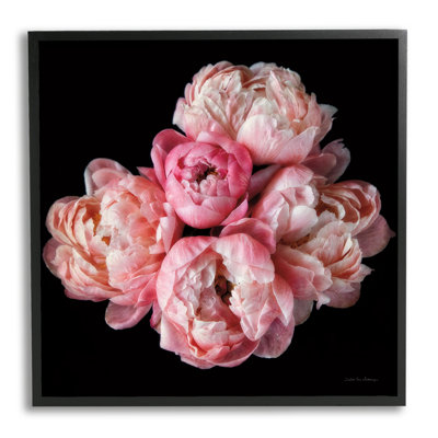 bb-157-Framed " Peonies on Black " Print