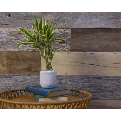 6" x Varying Length Barnwood Wall Paneling
