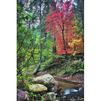 Peaceful Woods II - Wrapped Canvas Painting
