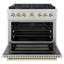 ZLINE 36 in. 6 Burner Gas Range with Convection Gas Oven in Stainless Steel and Accents