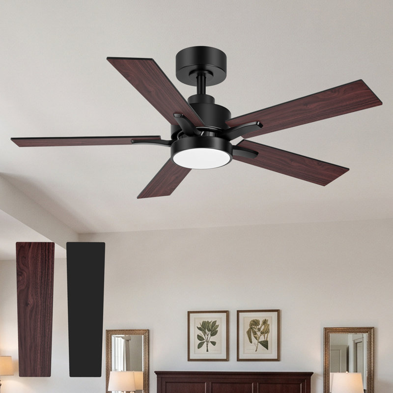 Ventilateur de plafond standard à DEL à 5 pales de 42 po avec télécommande et ensemble d'éclairage inclus Jeason, Noir, Brun