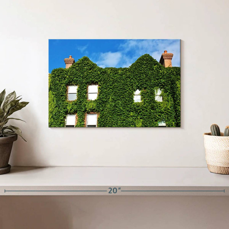 Maison couverte de plantes, H 8 po x l 12 po