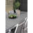 Faiyaz Rectangular 10 - Person 100Cm L Dining Set-334616910