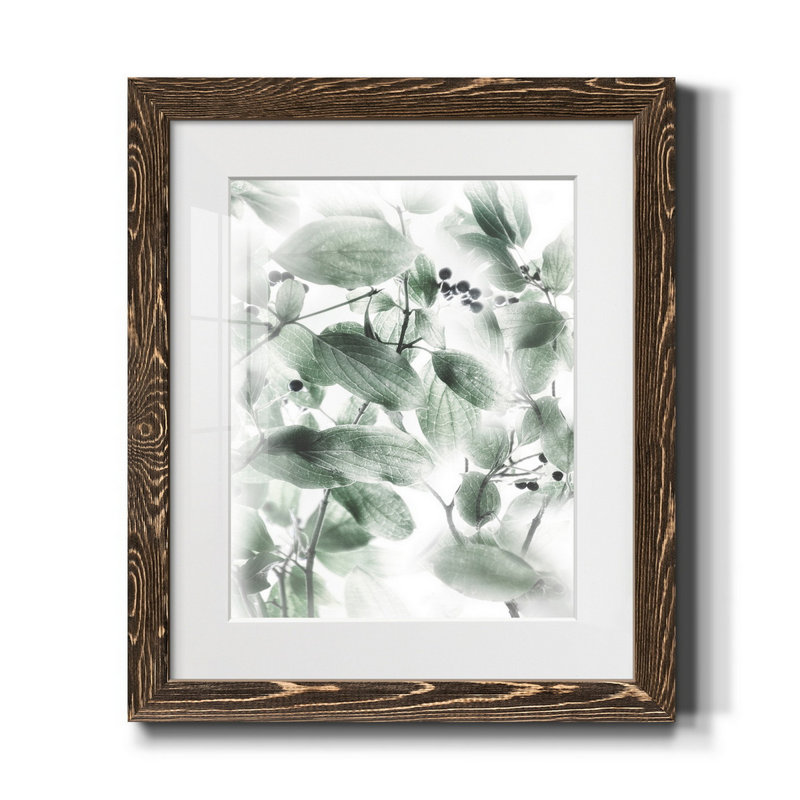 Berry Blush II - Reproduction d'art graphique sur papier encadré, H 24 po x l 18 po x P 1,5 po, Noyer