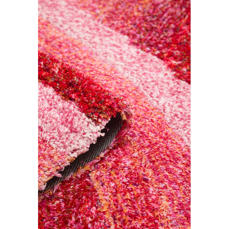 Anuradha 160cm X 230cm Area Rug