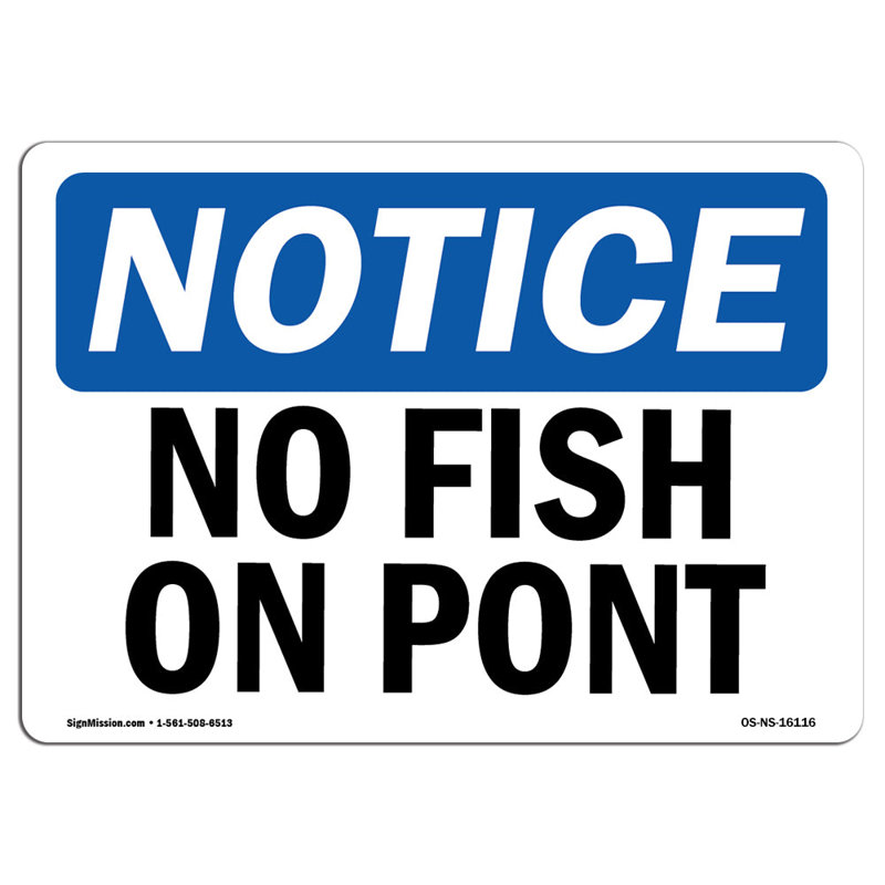 Aucun poisson dans l'étang