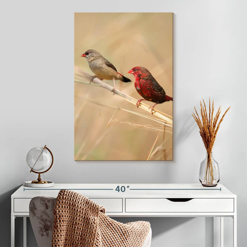 Brampt Strawberry Finches, 30" H x 20" W