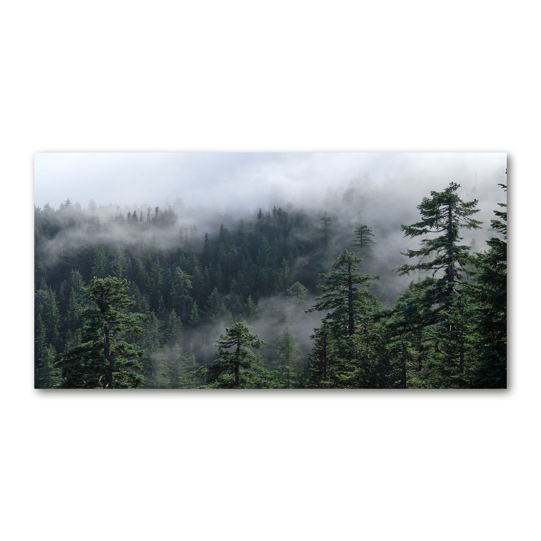 Waldnebel - Kunstdrucke auf Leinwand - Wrapped Canvas