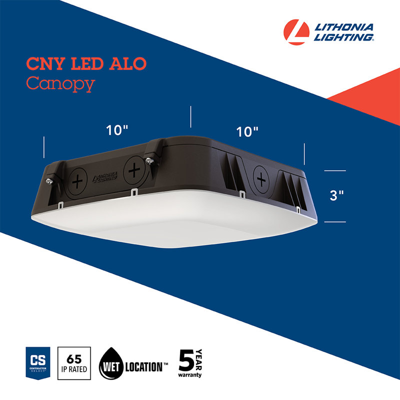 Lithonia Security Light