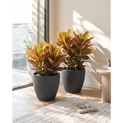 Set of 2 Plant Pots FRITILLARIA 50 cm Grey