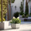 Jardinière Armontae-371306426-346670659