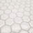 8'' W x 11.03'' L Gel Peel and Stick Mosaic Tile