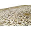 Oriental Area Rug