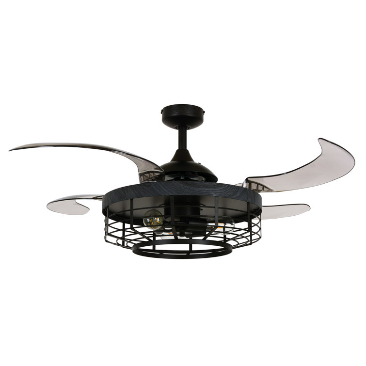 Hildburg 48'' Ceiling Fan with Light Kit