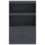 Alonah Steel Accent Cabinet-1141741050