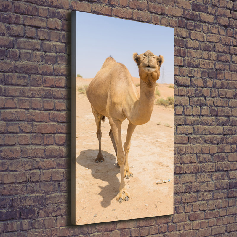 Camel In The Desert - Wrapped Canvas Print