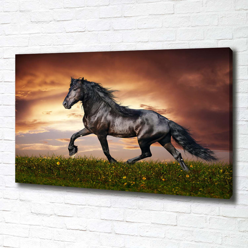 Pooping Horse - Wrapped Canvas Print