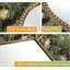 Miroir mural arqué 36 po x 28 po, cadre en métal doré antique-449946931