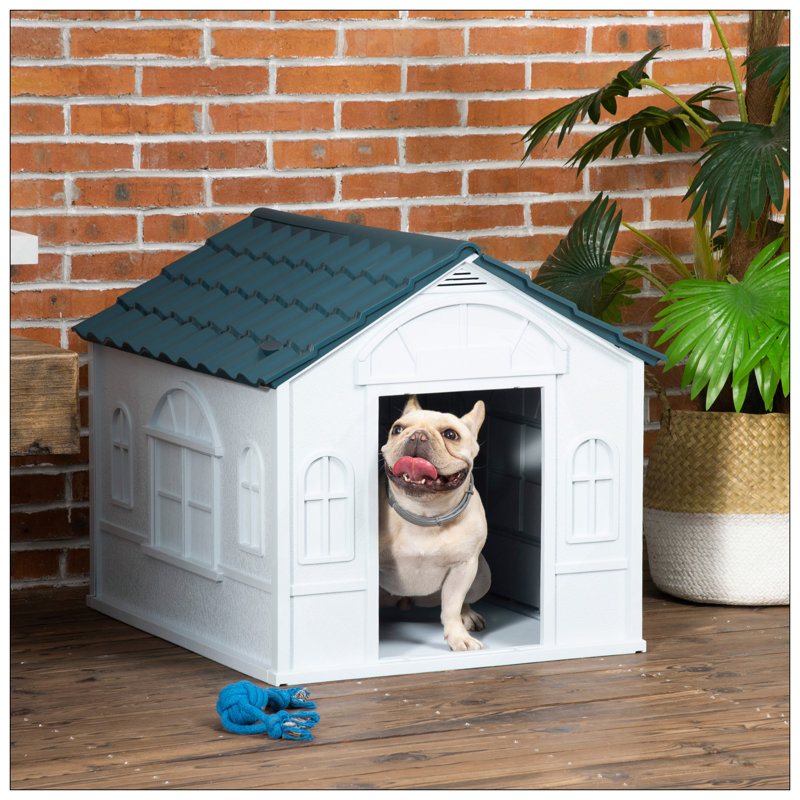 Niche pour chien en plastique durable avec abri résistant à l'eau, facile à assembler pour les petits et moyens chiens, Bleu