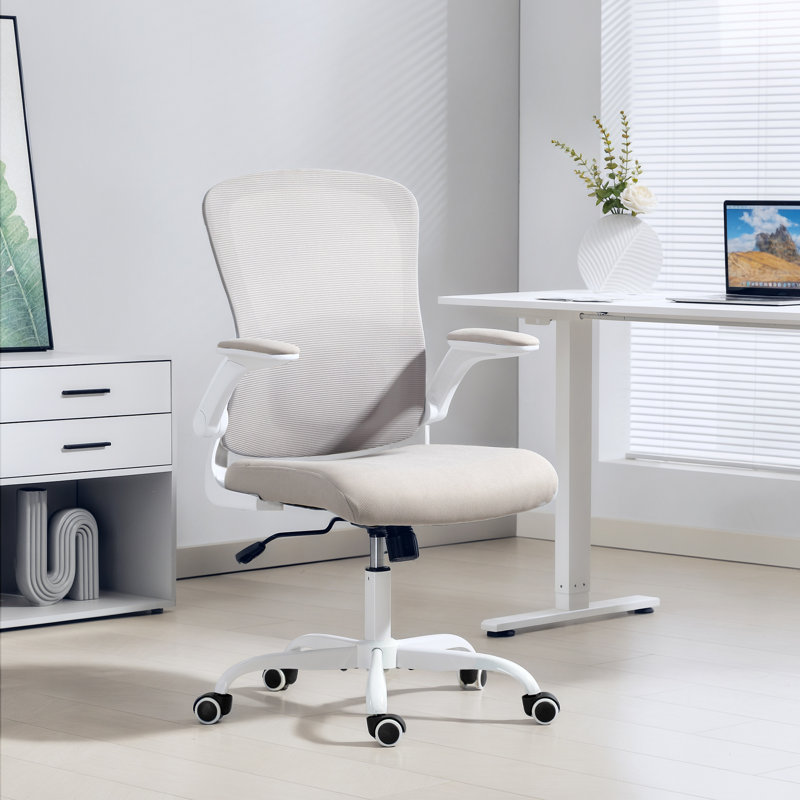 Chaise de bureau ergonomique, chaise de bureau en filet avec support lombaire, gris, Gris, Blanc