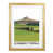 Oak Wood Frame selected